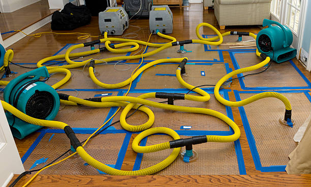 Professional Water Extraction technician working in Milton, LA